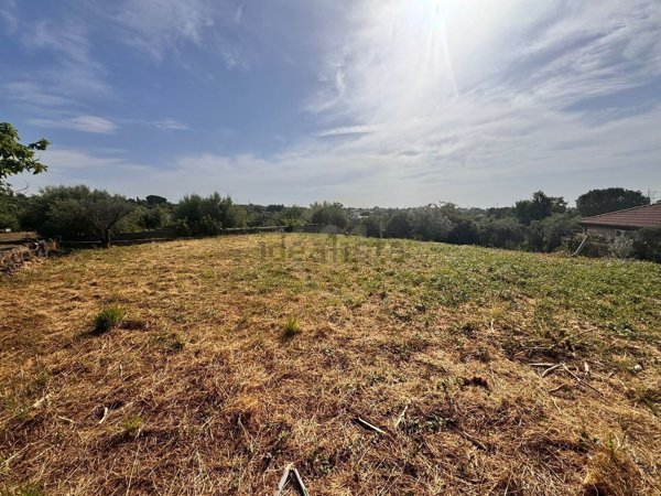 terreno agricolo in vendita a Misterbianco