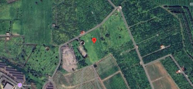 terreno agricolo in vendita a Misterbianco