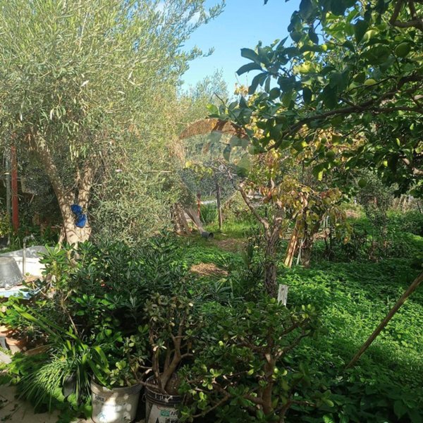 terreno agricolo in vendita a Misterbianco in zona Poggio Lupo