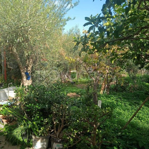 terreno agricolo in vendita a Misterbianco in zona Poggio Lupo