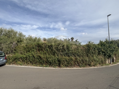 terreno agricolo in vendita a Misterbianco