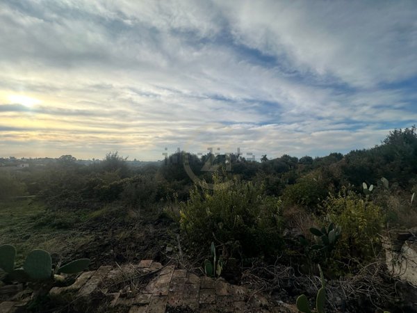 terreno agricolo in vendita a Misterbianco