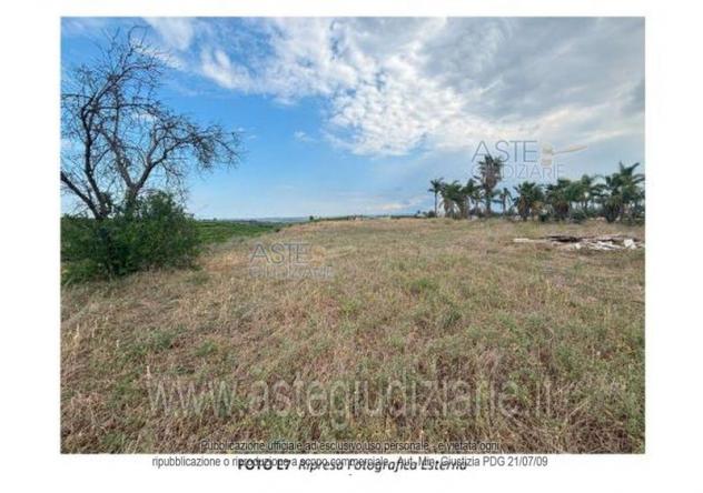 terreno agricolo in vendita a Misterbianco