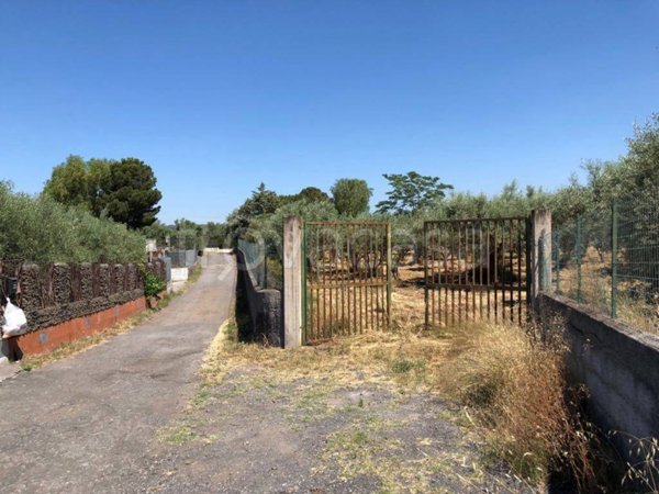 terreno agricolo in vendita a Misterbianco