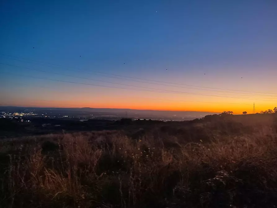 terreno agricolo in vendita a Misterbianco