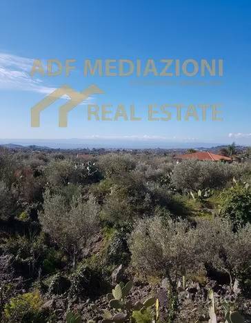 terreno agricolo in vendita a Misterbianco