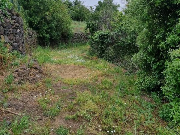 terreno agricolo in vendita a Misterbianco