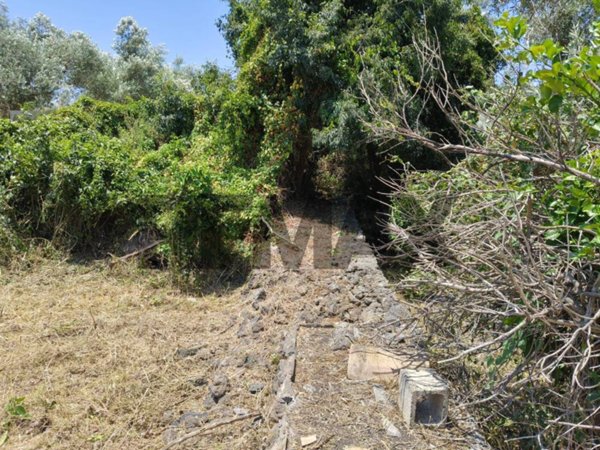 terreno agricolo in vendita a Misterbianco