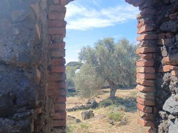 casa indipendente in vendita a Misterbianco