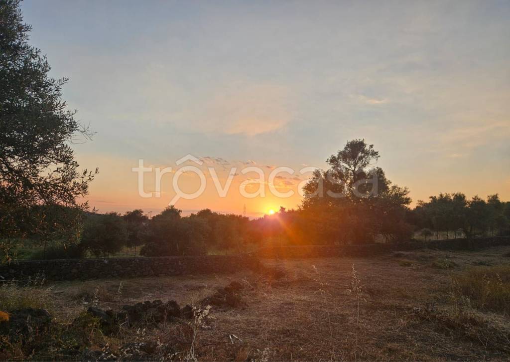 terreno agricolo in vendita a Misterbianco