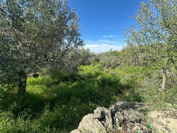 terreno in vendita a Misterbianco