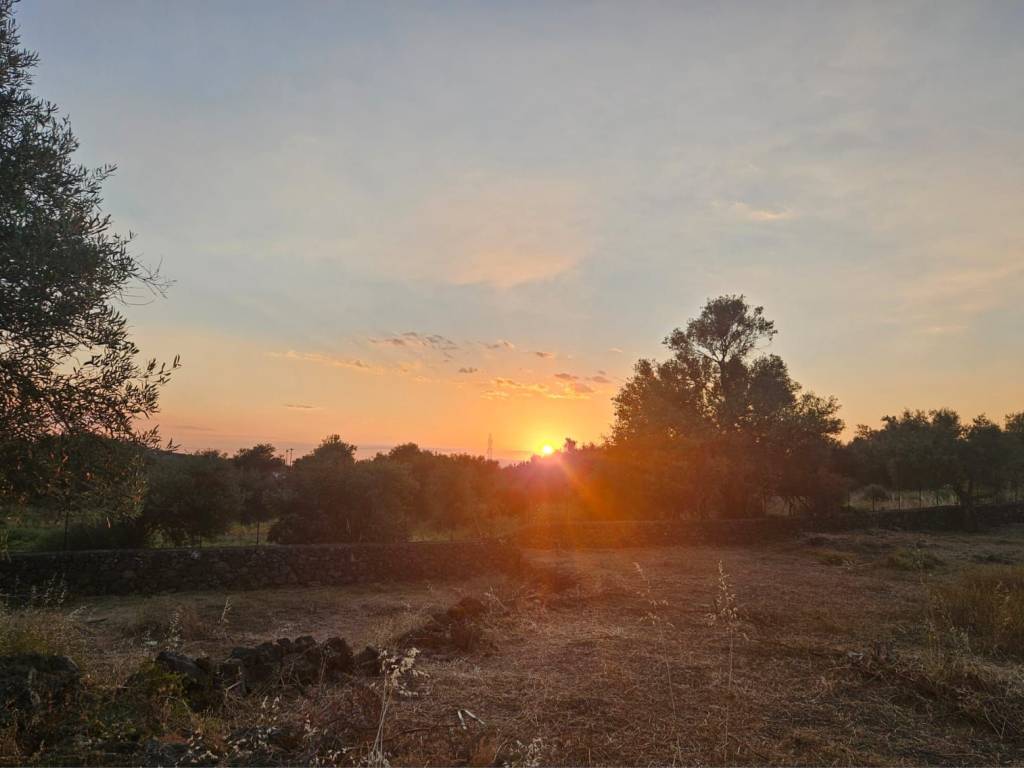 terreno in vendita a Misterbianco