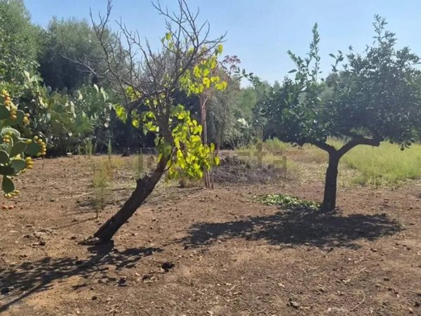 terreno in vendita a Misterbianco