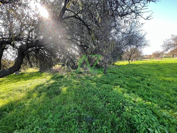 terreno agricolo in vendita a Motta Sant'Anastasia