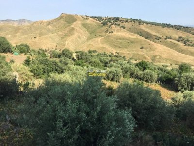 casa indipendente in vendita a Motta Sant'Anastasia