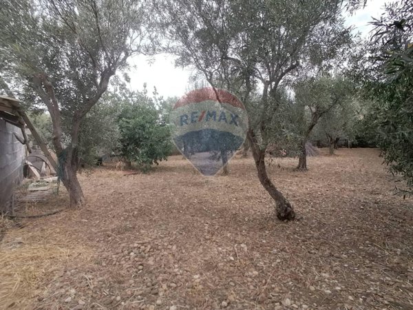 terreno agricolo in vendita a Motta Sant'Anastasia