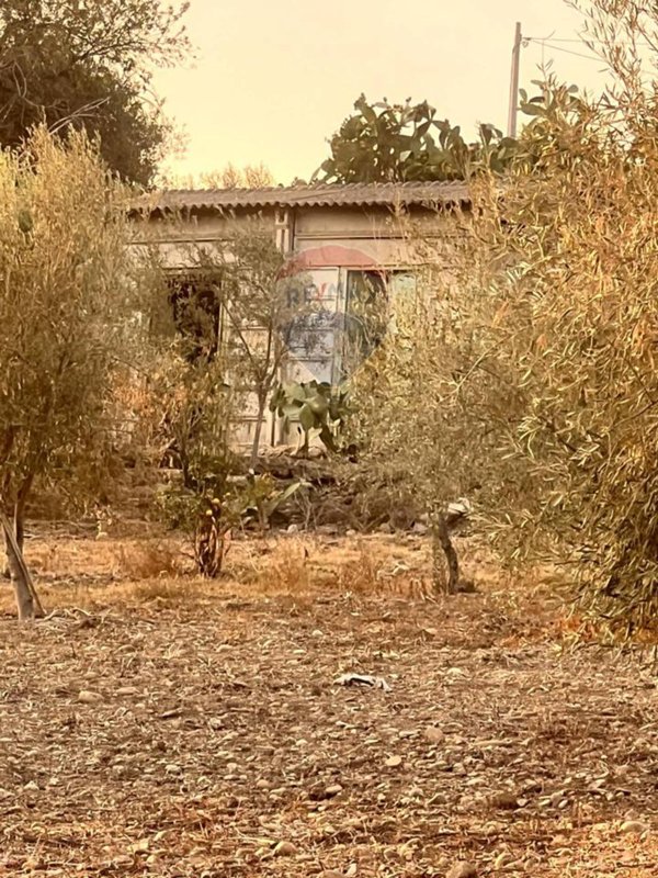 terreno agricolo in vendita a Motta Sant'Anastasia