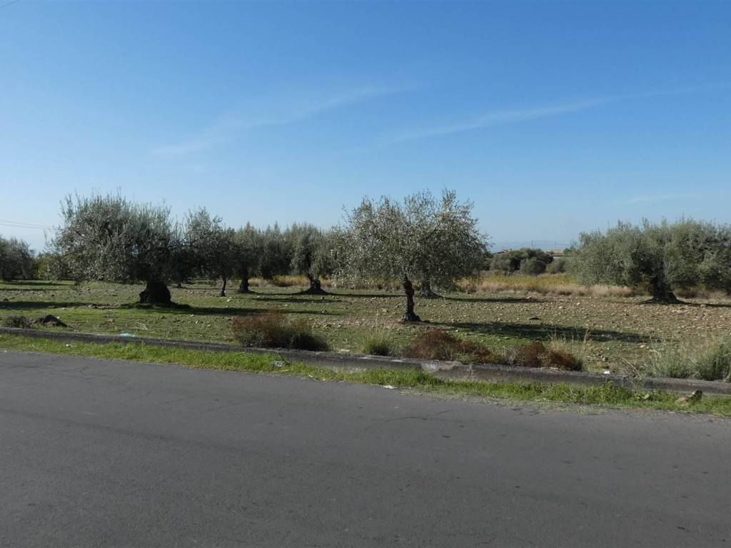 terreno agricolo in vendita a Motta Sant'Anastasia