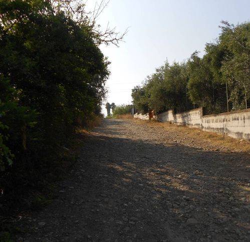 terreno agricolo in vendita a Motta Sant'Anastasia