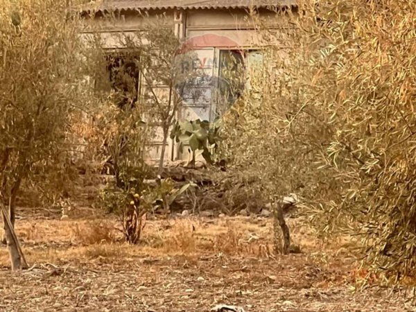 terreno agricolo in vendita a Motta Sant'Anastasia