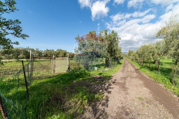 terreno agricolo in vendita a Motta Sant'Anastasia