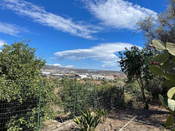 terreno agricolo in vendita a Motta Sant'Anastasia