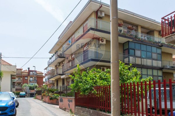 appartamento in vendita a Motta Sant'Anastasia