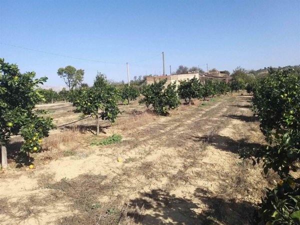 casa indipendente in vendita a Motta Sant'Anastasia