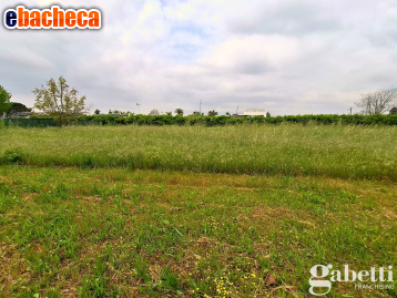 terreno agricolo in vendita a Motta Sant'Anastasia