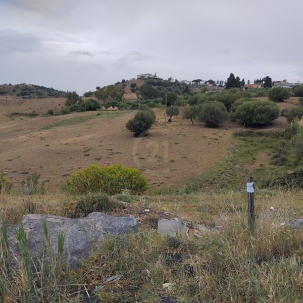 terreno agricolo in vendita a Motta Sant'Anastasia