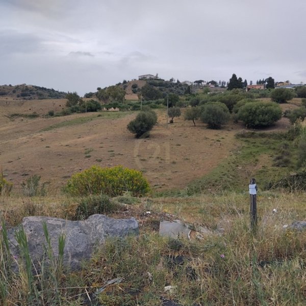 terreno agricolo in vendita a Motta Sant'Anastasia
