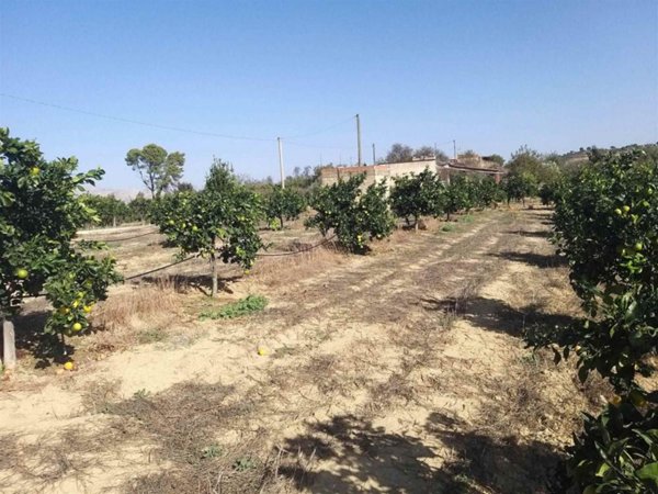 casa indipendente in vendita a Motta Sant'Anastasia