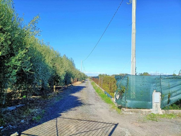 terreno agricolo in vendita a Motta Sant'Anastasia