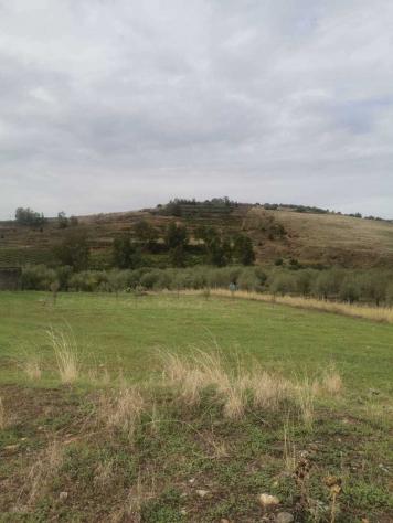 terreno agricolo in vendita a Motta Sant'Anastasia