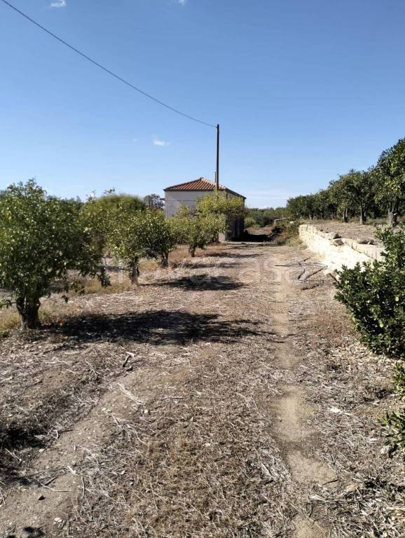 terreno agricolo in vendita a Motta Sant'Anastasia