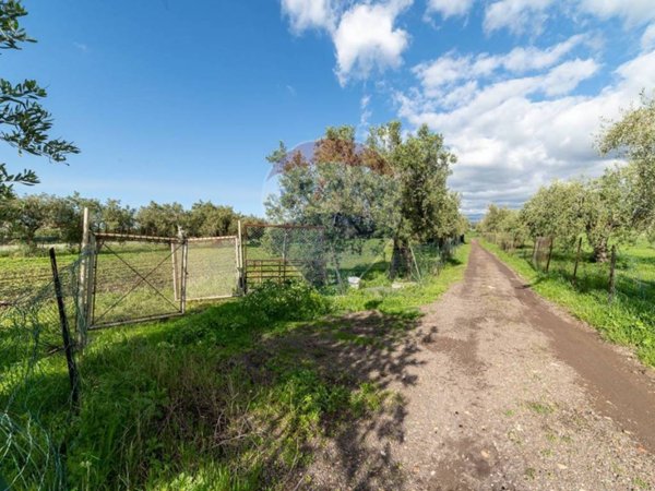 terreno agricolo in vendita a Motta Sant'Anastasia