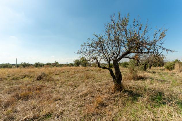 casa indipendente in vendita a Motta Sant'Anastasia