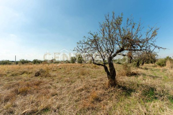 casa indipendente in vendita a Motta Sant'Anastasia