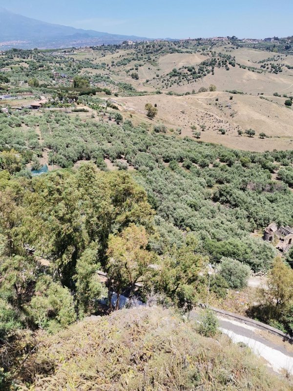 terreno agricolo in vendita a Motta Sant'Anastasia