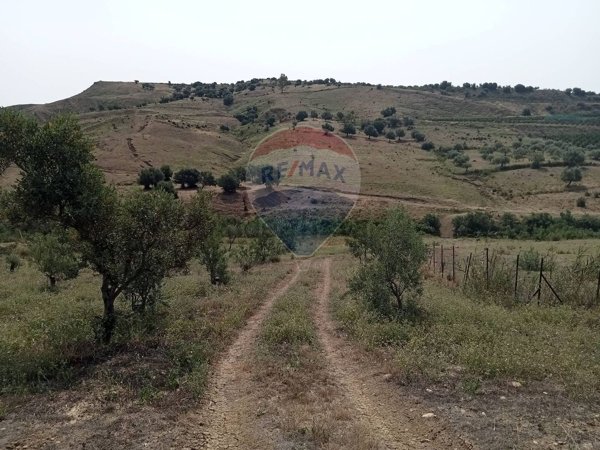 casa indipendente in vendita a Motta Sant'Anastasia