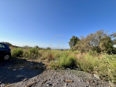 terreno agricolo a Motta Sant'Anastasia in zona Piano Tavola / Belvedere