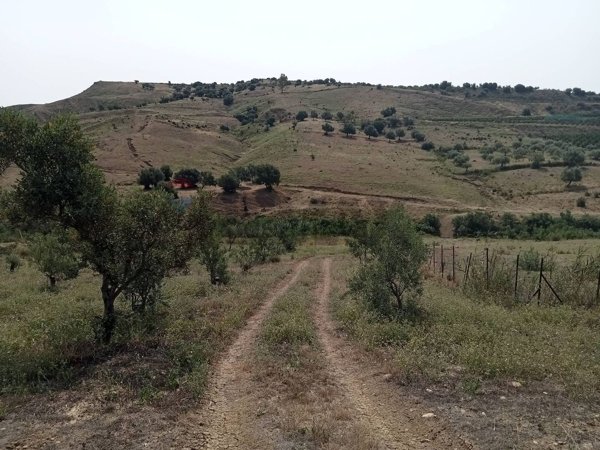 casa indipendente in vendita a Motta Sant'Anastasia