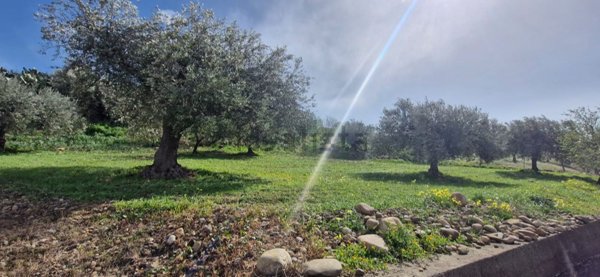 terreno agricolo in vendita a Motta Sant'Anastasia
