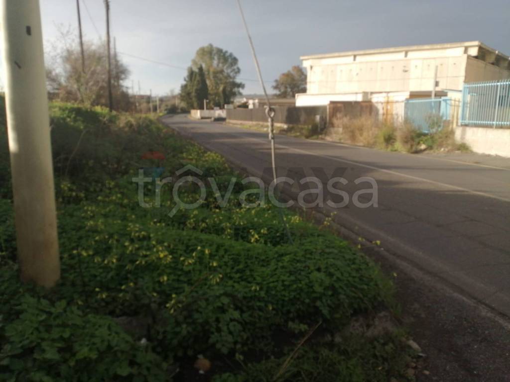 terreno agricolo in vendita a Motta Sant'Anastasia