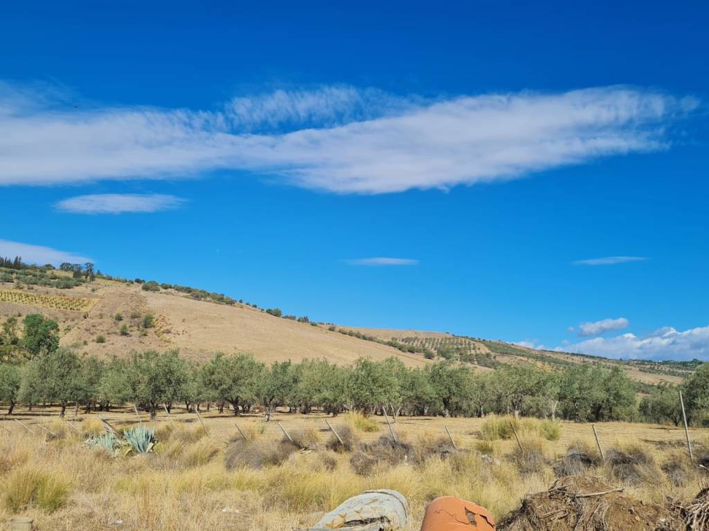 terreno agricolo in vendita a Motta Sant'Anastasia