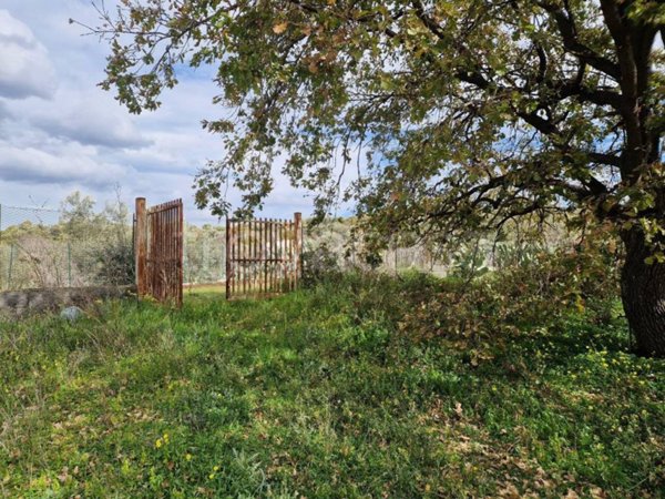 terreno in vendita a Motta Sant'Anastasia