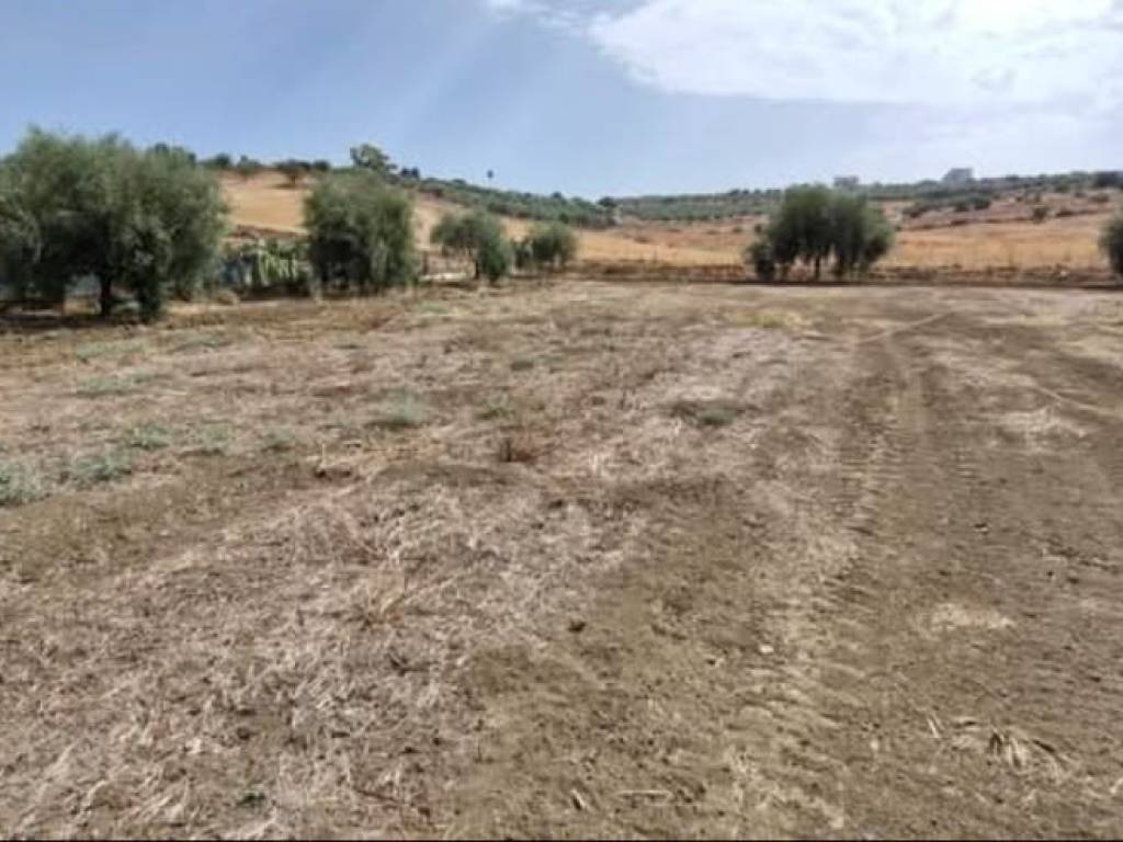 terreno agricolo in vendita a Motta Sant'Anastasia