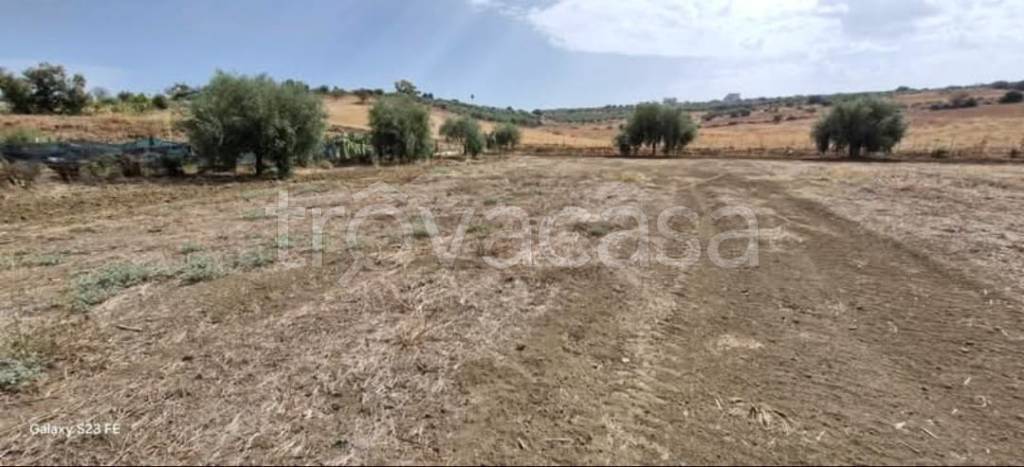 terreno agricolo in vendita a Motta Sant'Anastasia