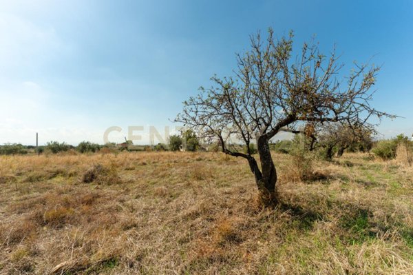 casa indipendente in vendita a Motta Sant'Anastasia