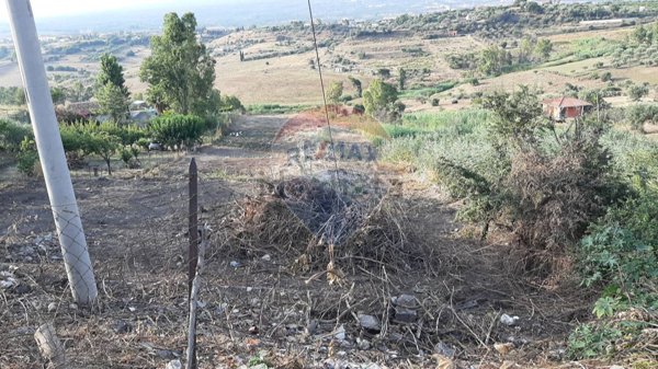 terreno agricolo in vendita a Motta Sant'Anastasia